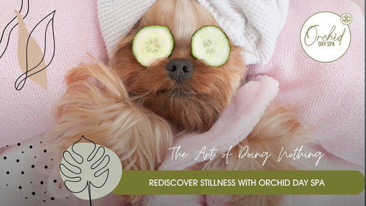 A small dog relaxing with a towel and cucumber slices on its eyes, symbolizing relaxation and self-care at Orchid Day Spa